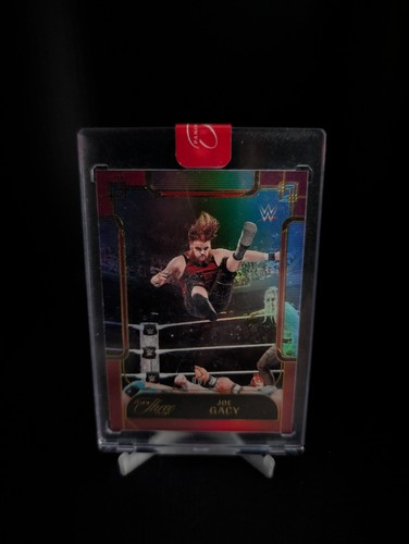 2024 panini three - panini, wwe